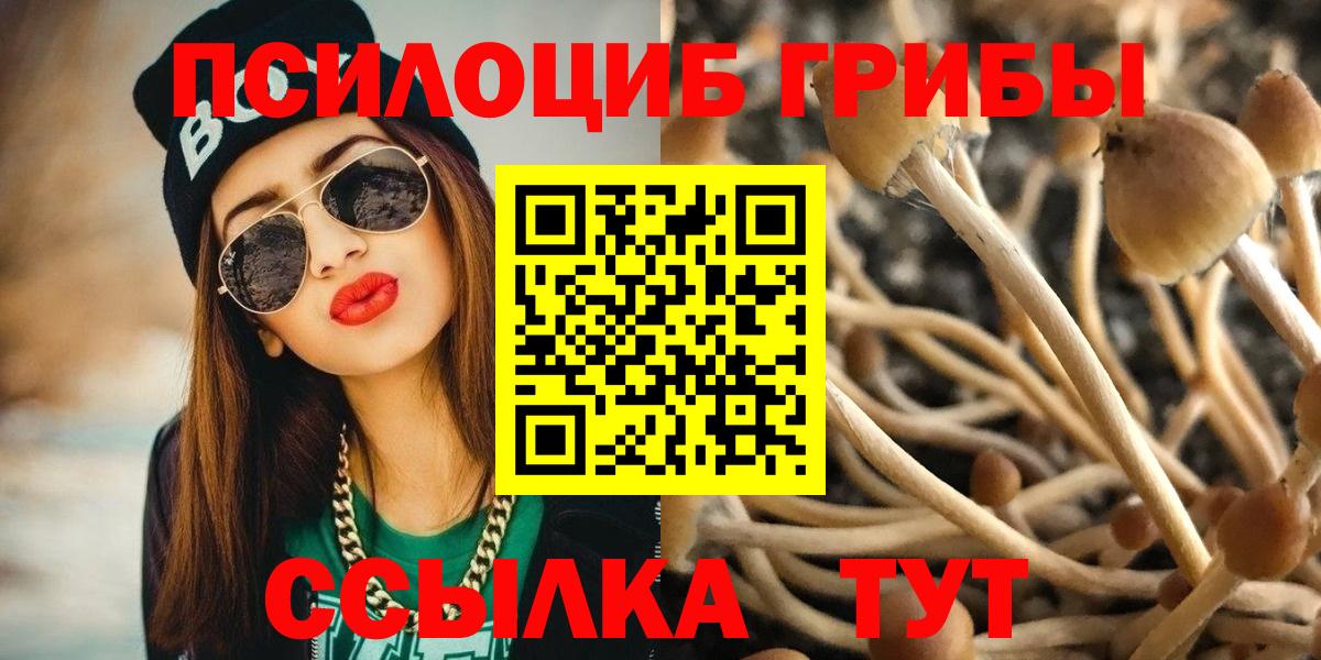 Галлюциногенные грибы Psilocybine cubensis  Вход с VPN  Псилоцибиновые грибы Magic Shrooms  продажа наркотиков  Шадринск 
